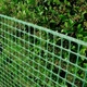Пластиковая сетка "Клевер" 20x20мм, 1.5м x 10м,темно-зеленая, декоративная, с усиленным краем – идеальное ограждение для сада - изображение 8
