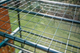 Szklarnia NEO Tools folia PVC konstrukcja metalowa 69x49x160 cm 15-901 Zielony (5907558485417)   - obraz 4
