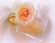 Тестер Туалетная вода для женщин Trussardi Delicate Rose 100 мл (8011530847005) - изображение 2