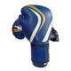 Перчатки боксерские Fight Gear Team Club Newt NE-BOX-BF-10-BL, 10 oz, синий - изображение 1