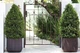 Горшок для цветов (кашпо) Keter Cube Planter L (17201220) Коричневый - изображение 3