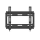 Кронштейн для телевизора MounTech STW-22 до 50кг 10”- 50” - изображение 2