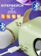 Мини караоке Pulse Platinum C20 Беспроводная колонка портативная с микрофоном Bluetooth колонка набор караоке 5 Вт Green - изображение 4