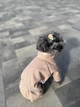 Стильний костюм для собак від WowPaw Кембрідж бежевий S - изображение 3