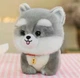 Плюшевая Игрушка Little Puppy Мягкий Плюшевый Щенок Хаски 20 см (00666) - изображение 1
