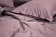 Постельное белье LUXURY LINENS Premium ROSE 100% египетский хлопок 500ТС (38000117d) - изображение 2