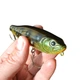 Воблер Evergreen Combat Pencil Gigantes, Jungle perch (#39), б/в - изображение 5