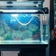 Цифровой термометр-гигрометр CX-201A для дома - изображение 4