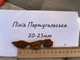 Кора Пиния чистая Португальская без примесей 20-25 мм ручная фасовка - изображение 2
