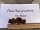 Кора Пиния чистая Португальская без примесей 12-15 мм ручная фасовка - изображение 3