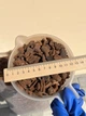 Кора Пиния чистая Португальская без примесей 12-15 мм ручная фасовка - изображение 4