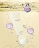 Pianka do mycia twarzy Fraijour Retin-Collagen 3D Core 250 ml (8802929008370) - obraz 2