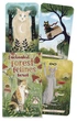 Карти Таро зачарованих лісових котів - Enchanted Forest Felines Tarot - зображення 1