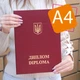 Обложка для вручения Диплома (DIPLOMA)- Твердая Красная А4 - изображение 2