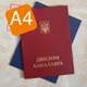 Обкладинка до Диплома БАКАЛАВР (Тверда А4) - зображення 2