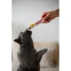Мультивітамінна паста GimCat Every Day Extra для котів, 100 г - зображення 5