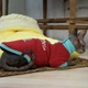 Кофта для кота или кошки Style Pets sp-red0819/l S - изображение 1