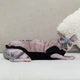 Теплая кофта для котов и кошек из махровой ткани Style Pets FaceSPM (KM/FSPM/pn) XL- - изображение 2