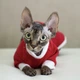 Кофта с рукавом для кота/кошки Style Pets long (red139) L - изображение 1