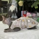 Теплая кофта для котов и кошек новогодняя Style Pets HNY (0022br) M - изображение 3
