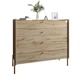 Комод с 4 ящиками LION Wood с золотыми ножками 100х90х45 см Дуб Аппалачи (LION-042963) - изображение 2