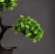 Штучна композиція Бонсай Соснове Дерево у горщику Pine Bonsai Зелений 36×22 см - зображення 6