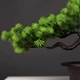 Штучна композиція Бонсай Соснове Дерево у горщику Pine Bonsai Зелений 36×22 см - зображення 2