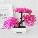 Искусственный бонсай сакуры в горшке Pink Cherry Bonsai Розовый 26x19 см - изображение 2