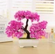 Искусственный бонсай сакуры в горшке Pink Cherry Bonsai Розовый 26x19 см - изображение 8