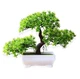Искусственный бонсай в горшке Green Bonsai Зеленый 26x19 см - изображение 3