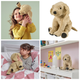 Большая мягкая плюшевая игрушка Золотистий Ретривер IKEA GOSIG GOLDEN 40 см детская игрушка собака 001.327.98 - изображение 2