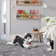 Большая мягкая плюшевая игрушка Хаски IKEA LIVLIG 57 см детская игрушка собака 402.979.90 - изображение 7