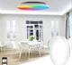 Розумний стельовий світильник з Wi-Fi 1DAL RGB, 24W (SSLP24W) - зображення 4