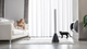 Wentylator Cecotec EnergySilence 9900 Skyline - obraz 6