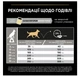 Сухий корм Purina Pro Plan Medium Adult 1+ Everyday Nutrion для дорослих собак середніх порід з куркою, 14 кг + 2.5 кг - зображення 5