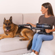 Акумуляторний пилосос Cecotec Conga Rockstar 1500 Ray Ergowet Animal - зображення 4