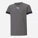 Детская футболка для мальчика Puma Teamrise Jersey Jr 70493813 122-128 см Серая (4063699209136) - изображение 1