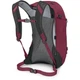 Рюкзак Osprey Hikelite 26 Violet (1054-009.4010) - изображение 4