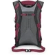 Рюкзак Osprey Hikelite 26 Violet (1054-009.4010) - изображение 5