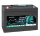 Акумулятор EverExceed LDP12-100 (12.8V100Ah) - зображення 1