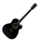 Акустическая гитара Avzhezh ZG-101 Black - изображение 1