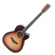 Акустическая гитара Avzhezh ZG-101 Tobacco Burst - изображение 1