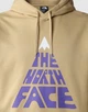 Чоловіче худі The North Face Mountain Play Khaki-Stein M - зображення 3