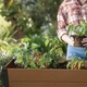 Горщик для квітів Keter Donica Elevated Garden Bed Pro коричневий 255161 - изображение 5