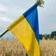 Флаг Украины 140х90см в деревянной коробке с гравировкой (6598-1732) - изображение 2