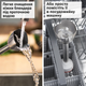 Блендер Bosch Серія 4 ErgoMaster MSM4W410 - зображення 3