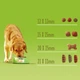 Сухой корм для взрослых собак с повышенной активностью Purina Friskies Active с говядиной 15 кг - изображение 7