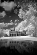Інфрачервоний Світлофільтр B+W Schneider F-Pro 093 Infrared-Black 67 мм - зображення 6
