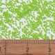 Бисер Японский MIYUKI Delica DB2121 11/0, Duracoat Dyed Opaque Kiwi, 400шт/2г - изображение 2