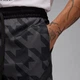 Шорти Air Jordan Printed Diamond Black/Grey FV8616-010 S - зображення 4